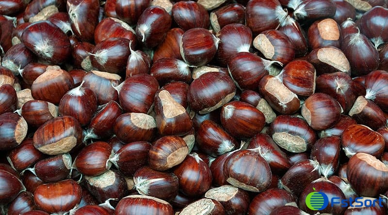 images/1669105610312chestnut sorter.jpg